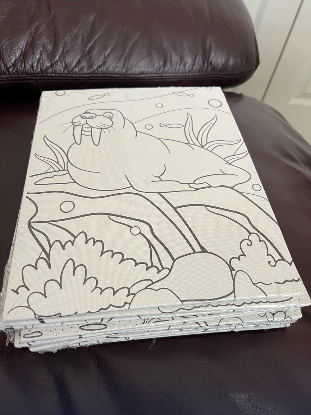 14 Pc Stretched Pre-Drawn Canvas Set